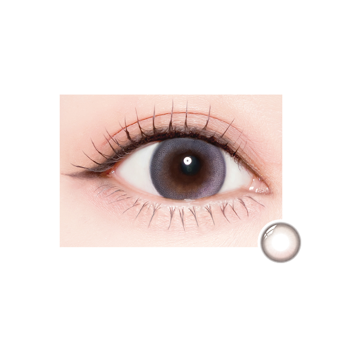 /assets/front/AN/img/item/20260805163141820.jpg