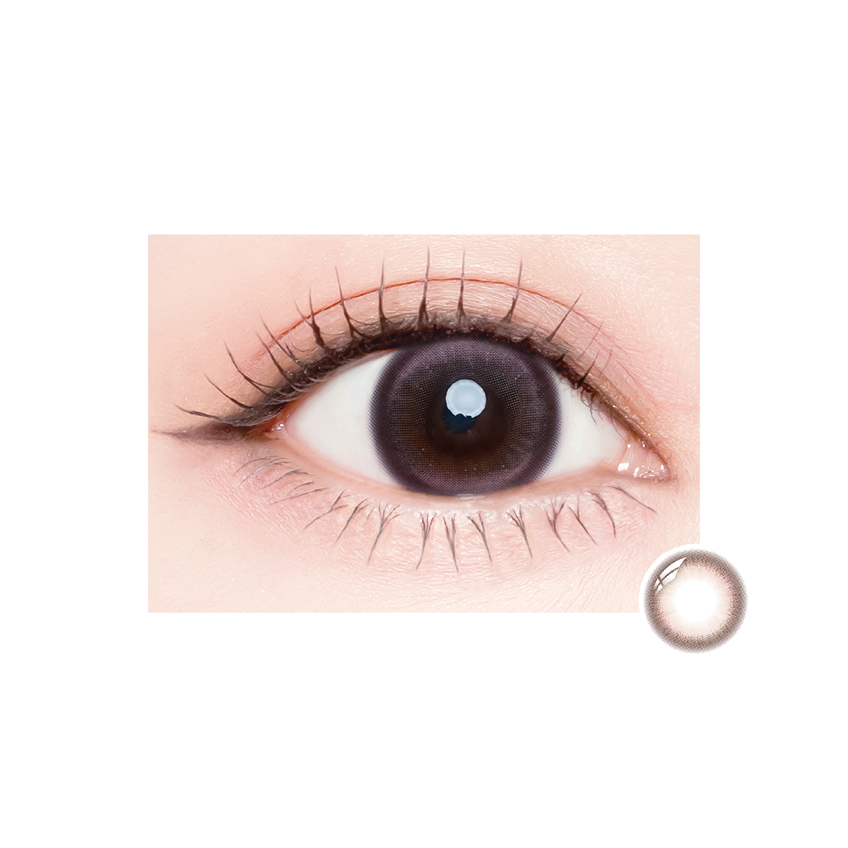 /assets/front/AN/img/item/20260805163624088.jpg